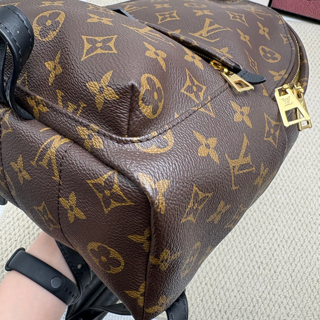 Louis Vuitton Backpack