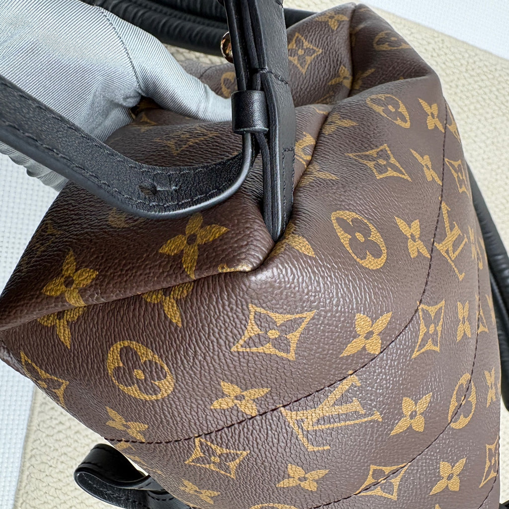 Louis Vuitton Backpack