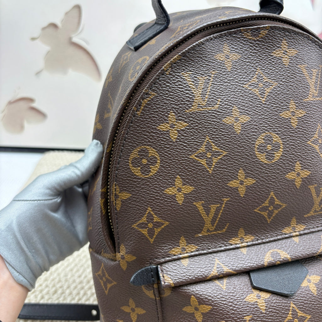 Louis Vuitton Backpack