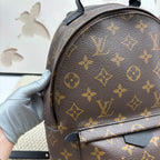 Louis Vuitton Backpack