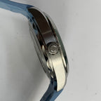 Omega Seahorse 41 millimeters 220.12.41.21.03.008