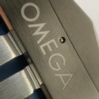 Omega Seahorse 41 millimeters 220.12.41.21.03.008