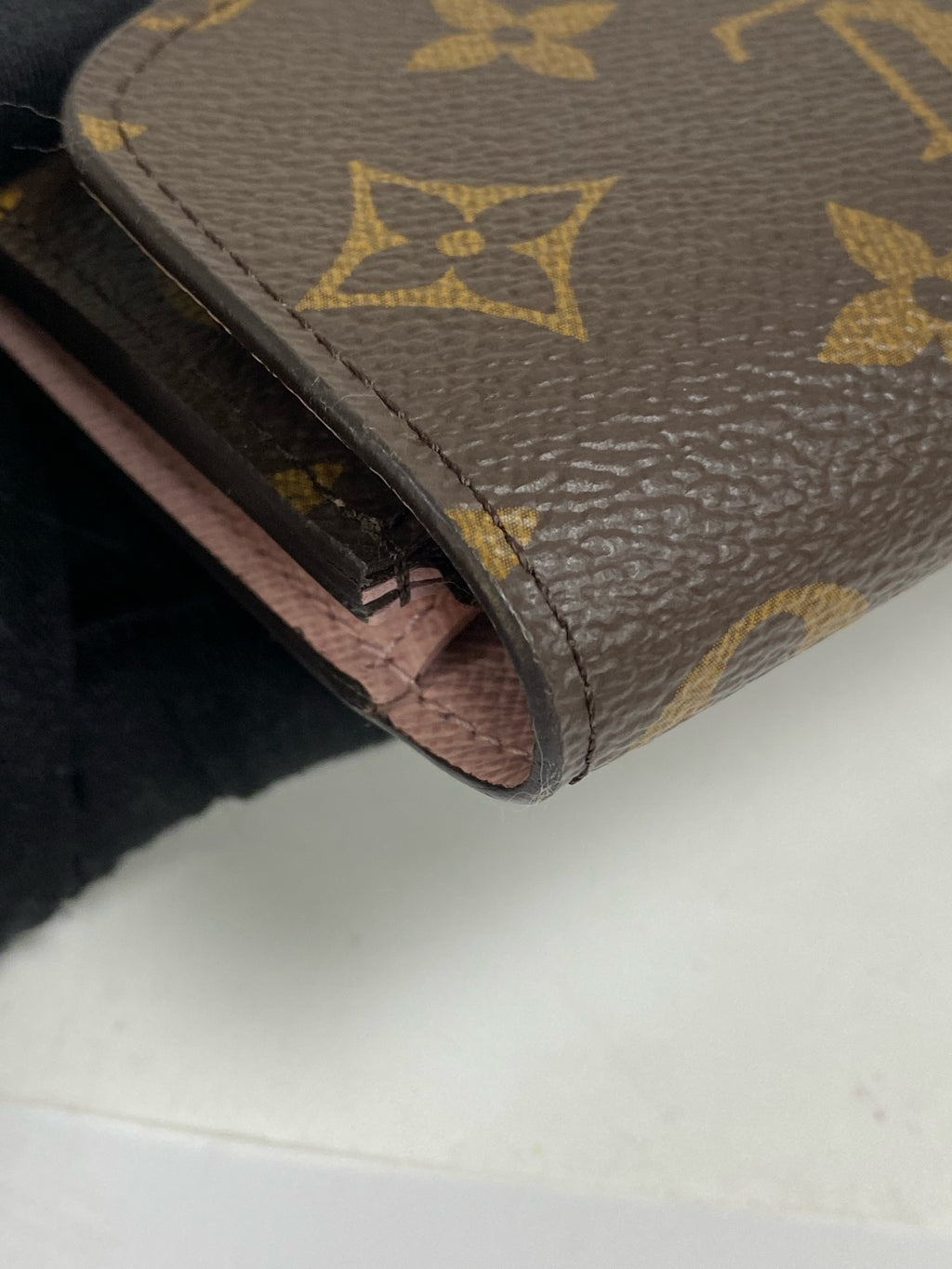 Louis Vuitton Canvas Pink