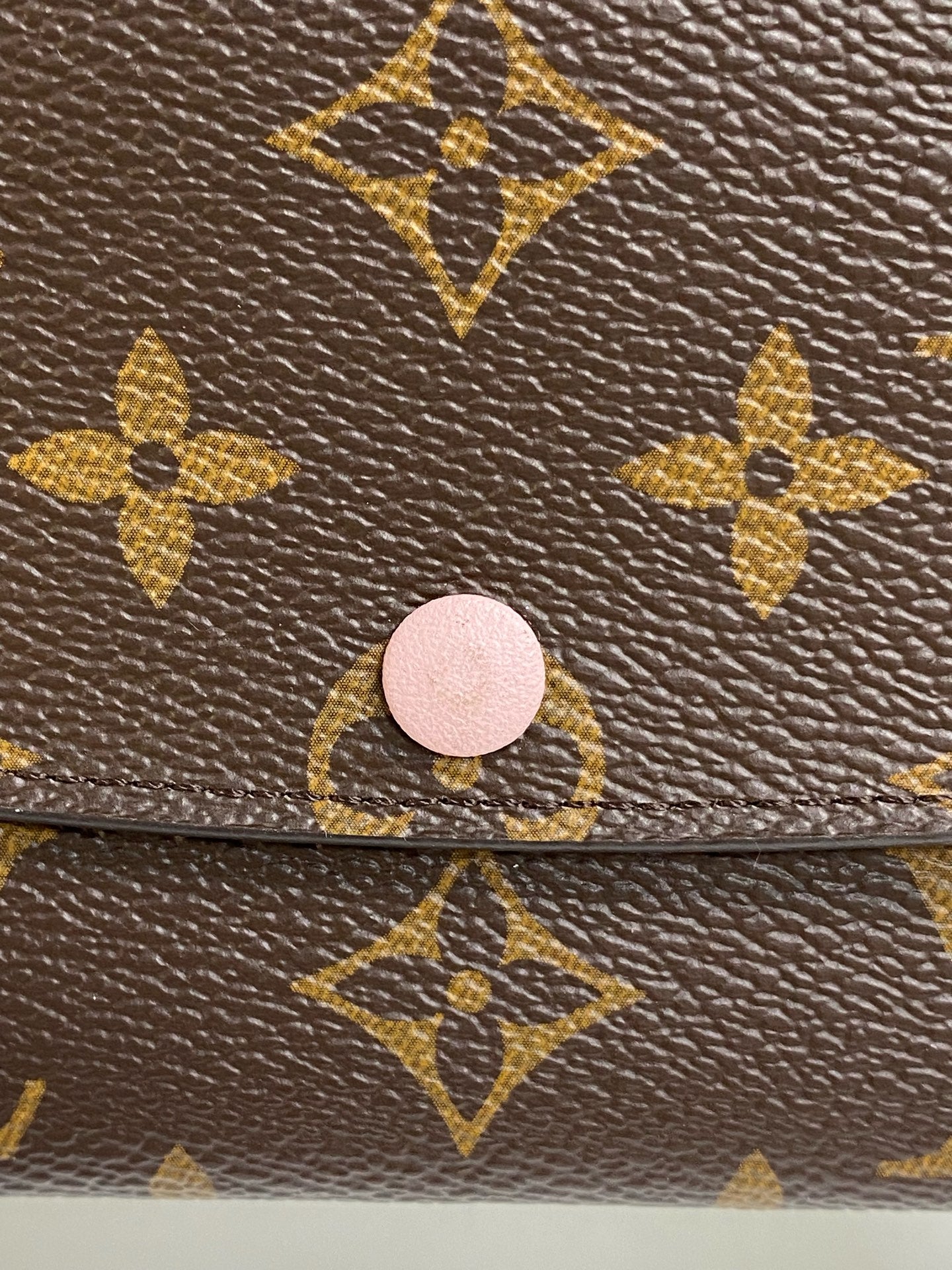 Louis Vuitton Canvas Pink