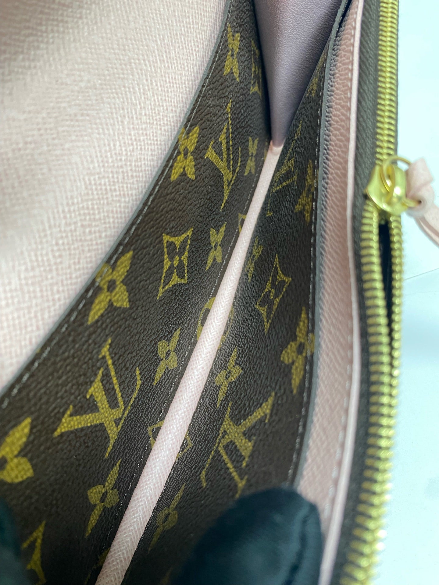 Louis Vuitton Canvas Pink