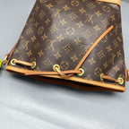 Louis Vuitton Bucket & Drawstring Bag