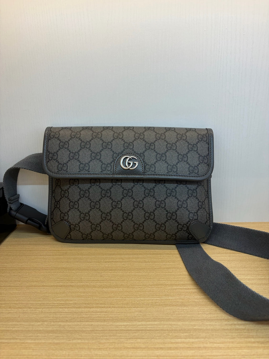 Gucci Ophidia Collection Canvas Gray 7525972ZGMN8576