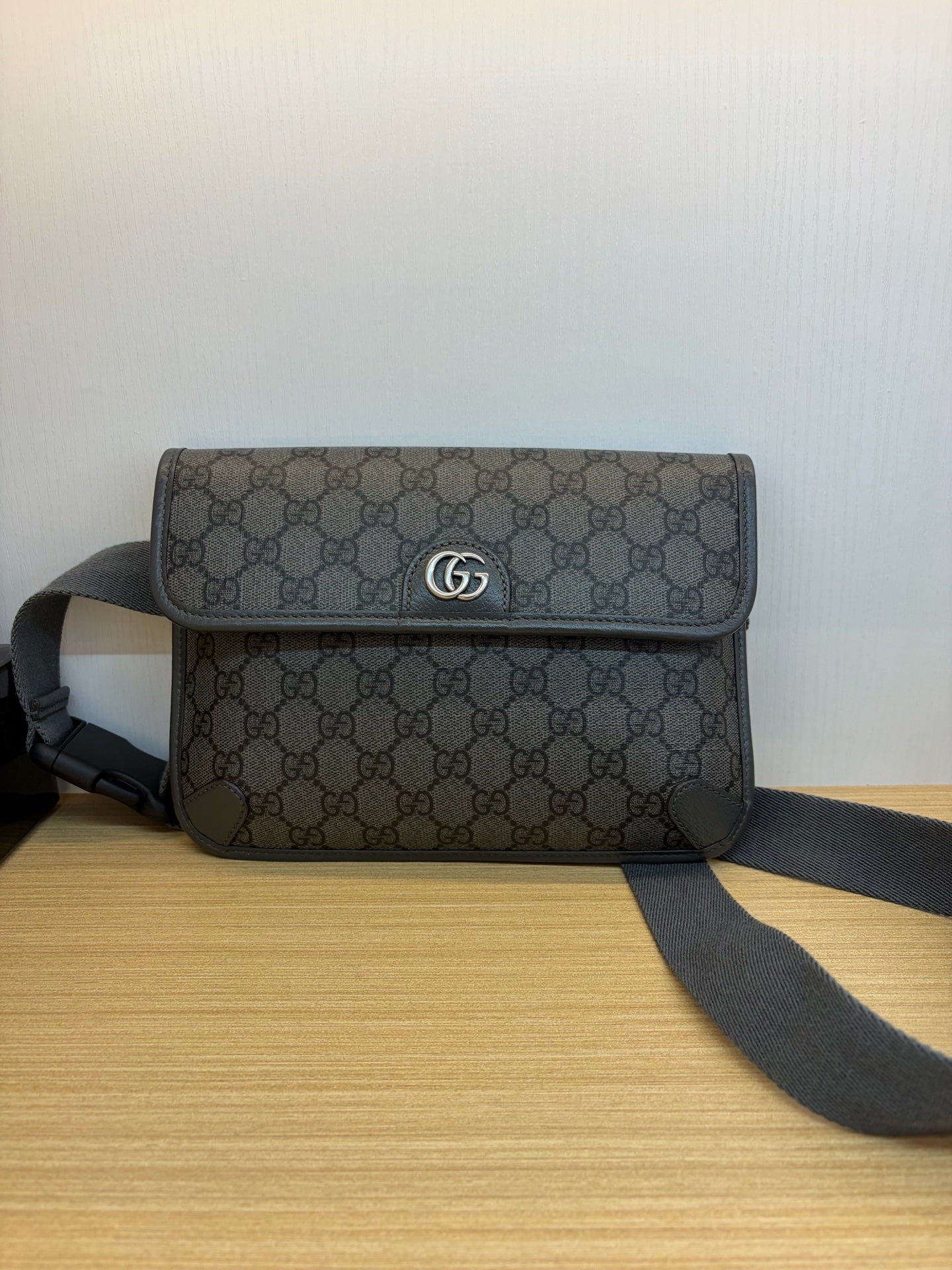 Gucci Ophidia Collection Canvas Gray 7525972ZGMN8576