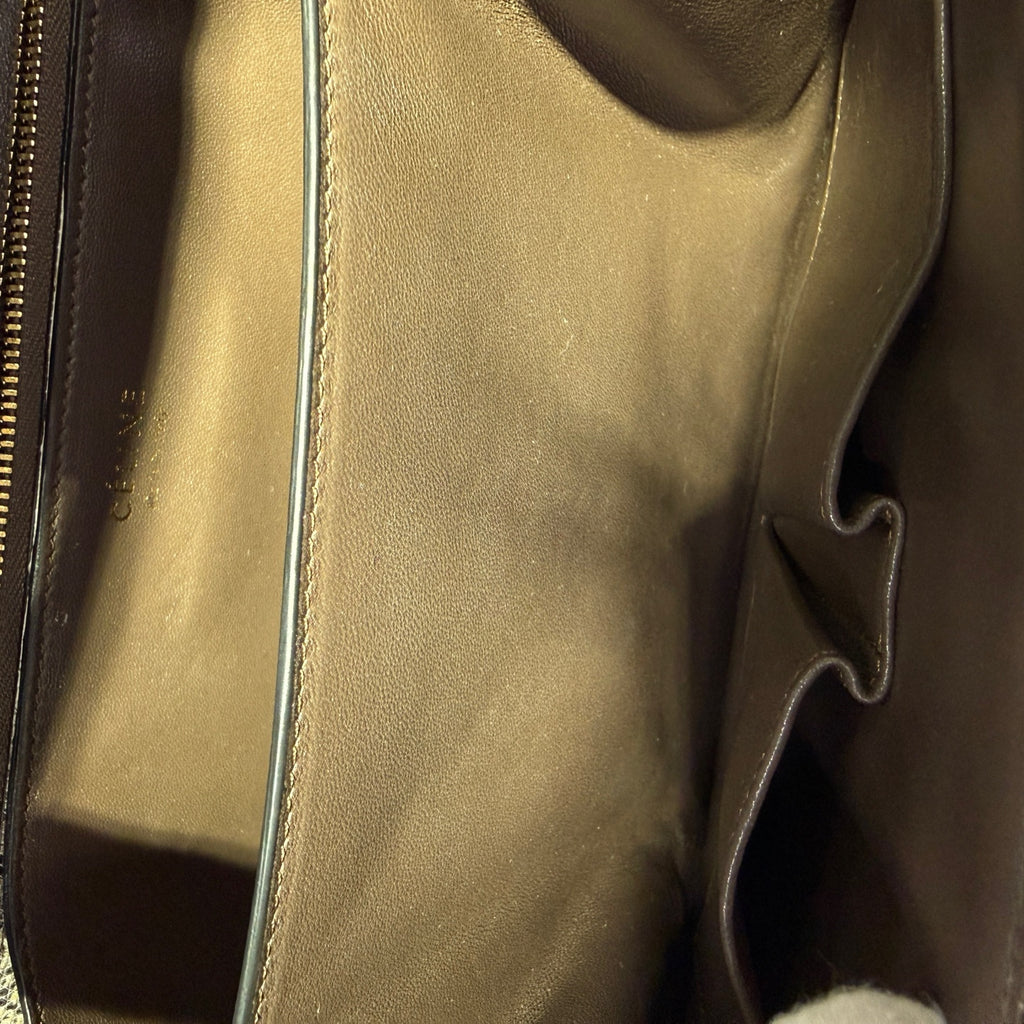Celine Classic Medium-Sized Lizard-Grain Leather Handbag Shoulder Bag 189174TLC.02VG