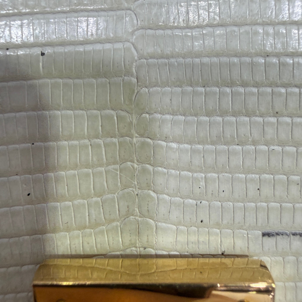 Celine Classic Medium-Sized Lizard-Grain Leather Handbag Shoulder Bag 189174TLC.02VG