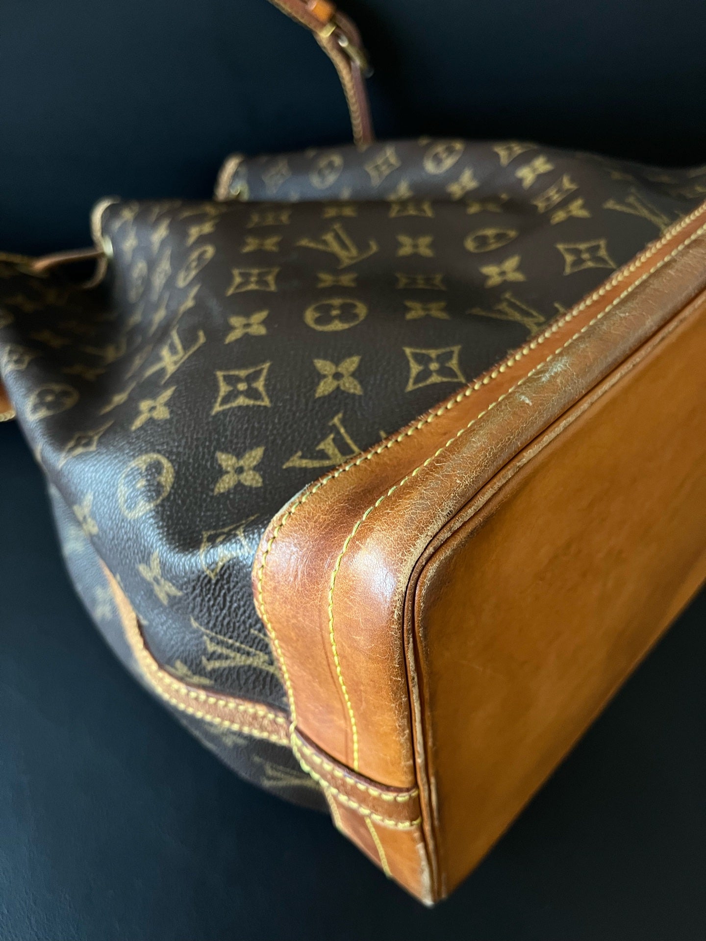 Louis Vuitton Bucket & Drawstring Bag