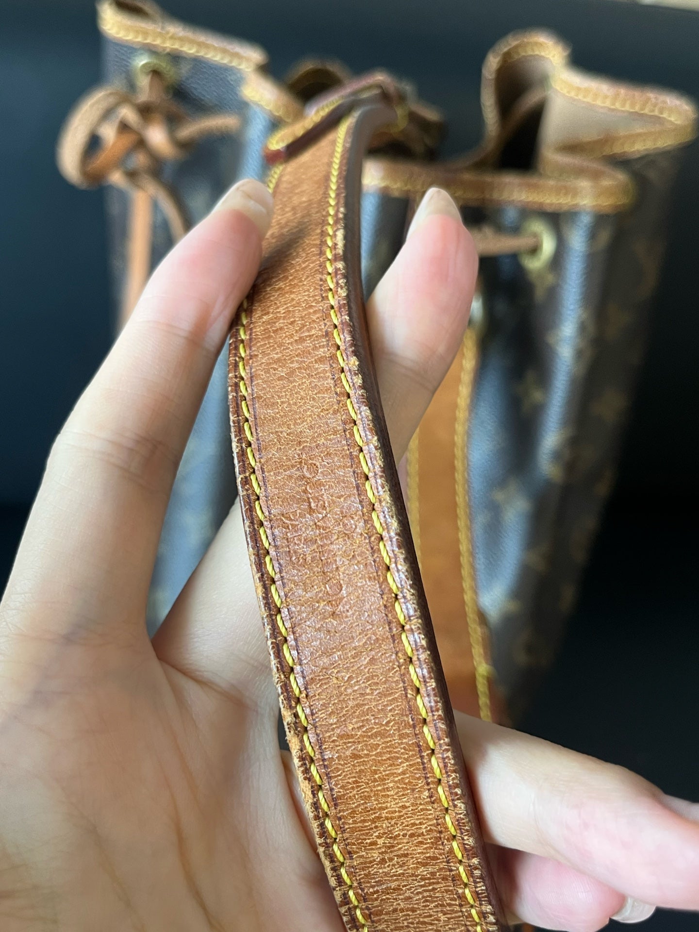 Louis Vuitton Bucket & Drawstring Bag