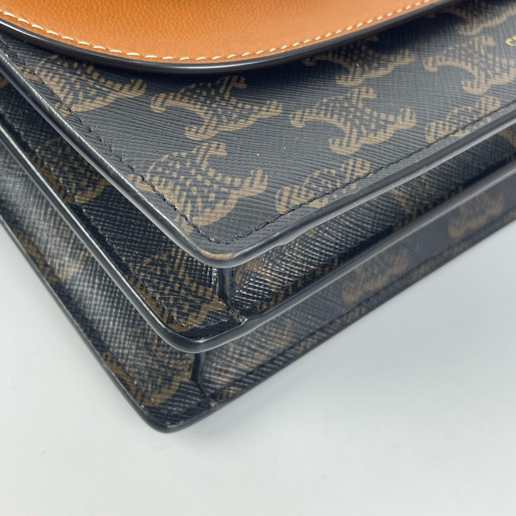 Celine Crossbody