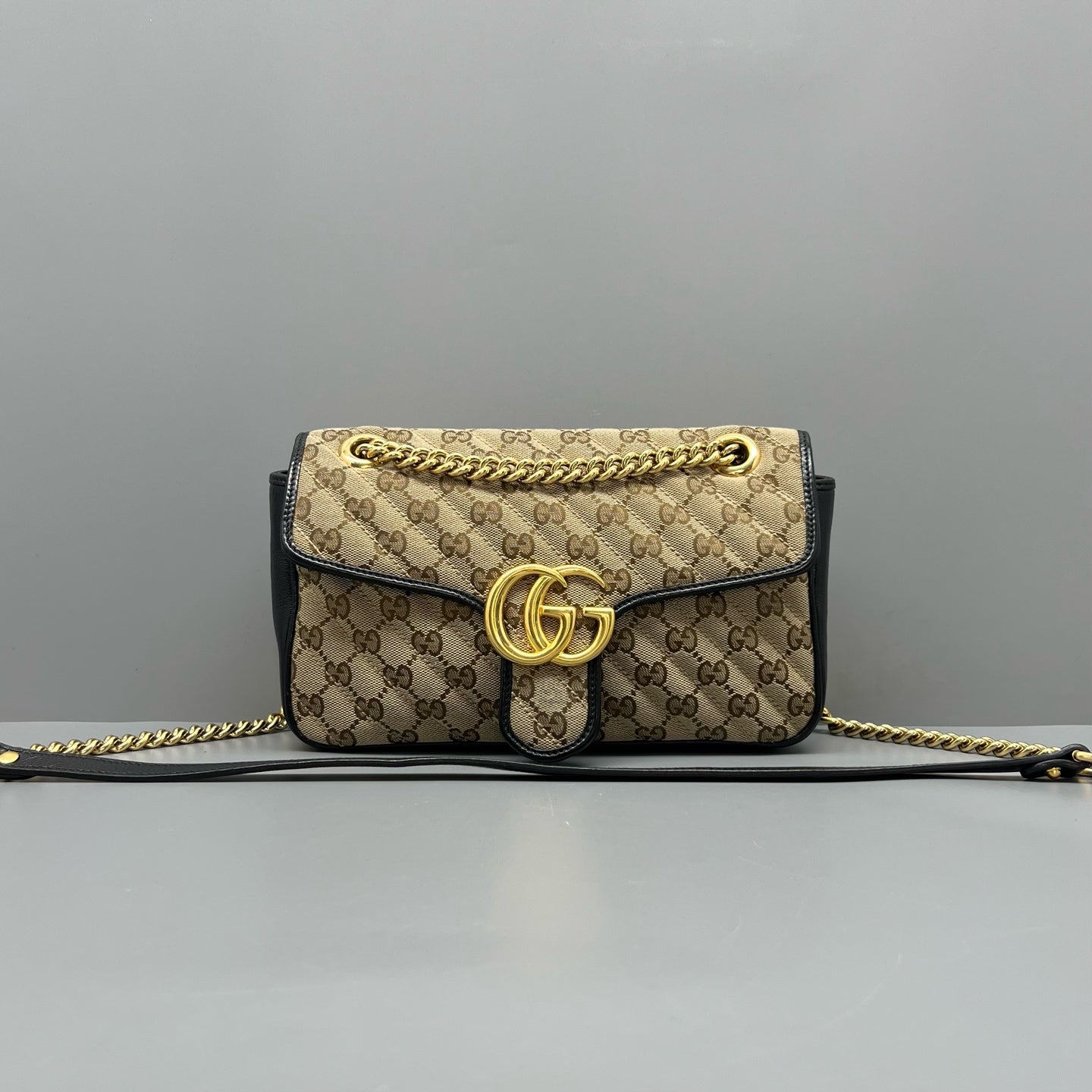 Gucci Canvas