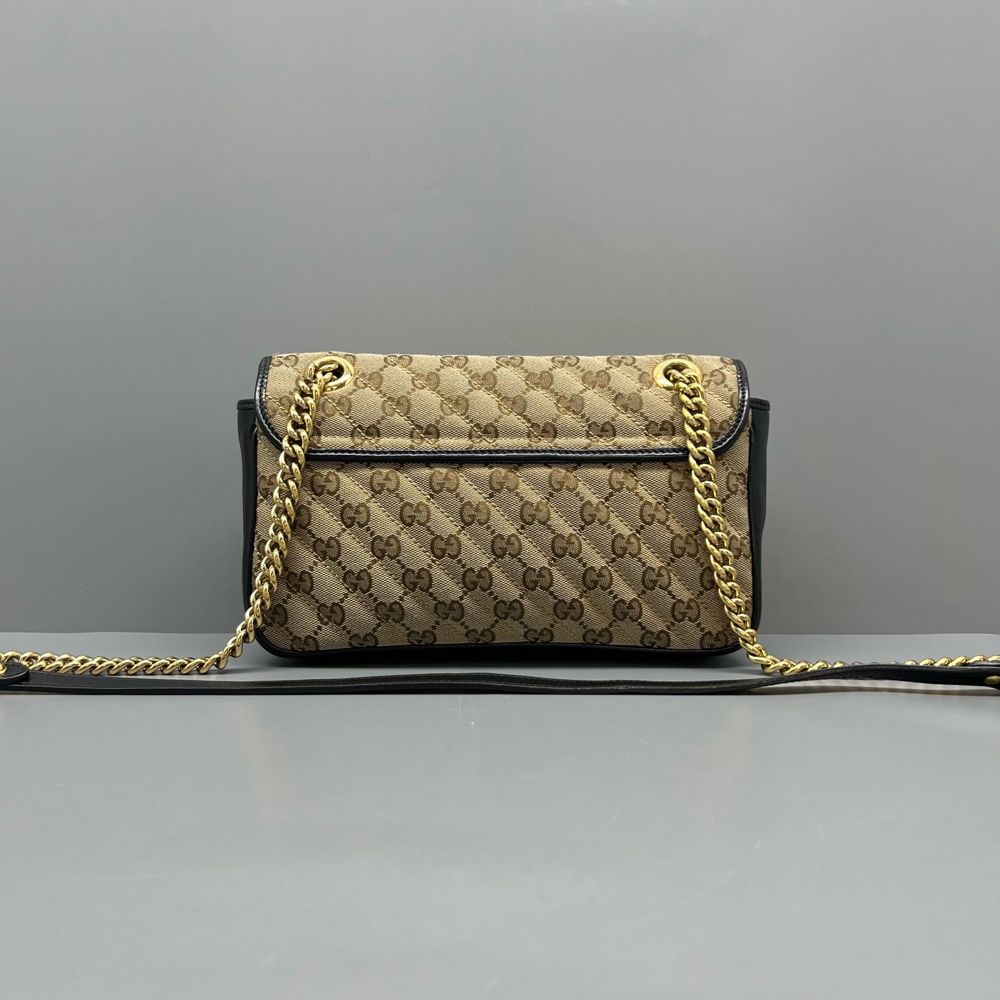 Gucci Canvas