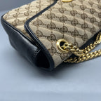 Gucci Canvas