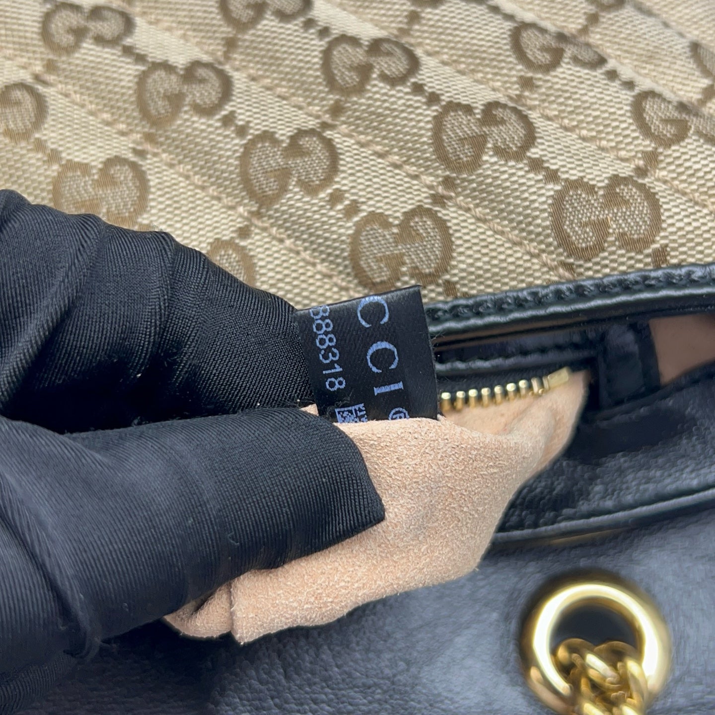 Gucci Canvas