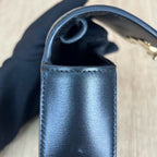 Celine TRIOMPHE Mini Glossy Calfskin Handbag 10I513DPV.38NO