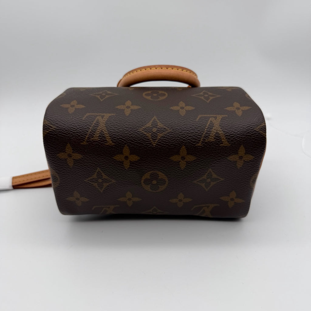 Louis Vuitton Canvas