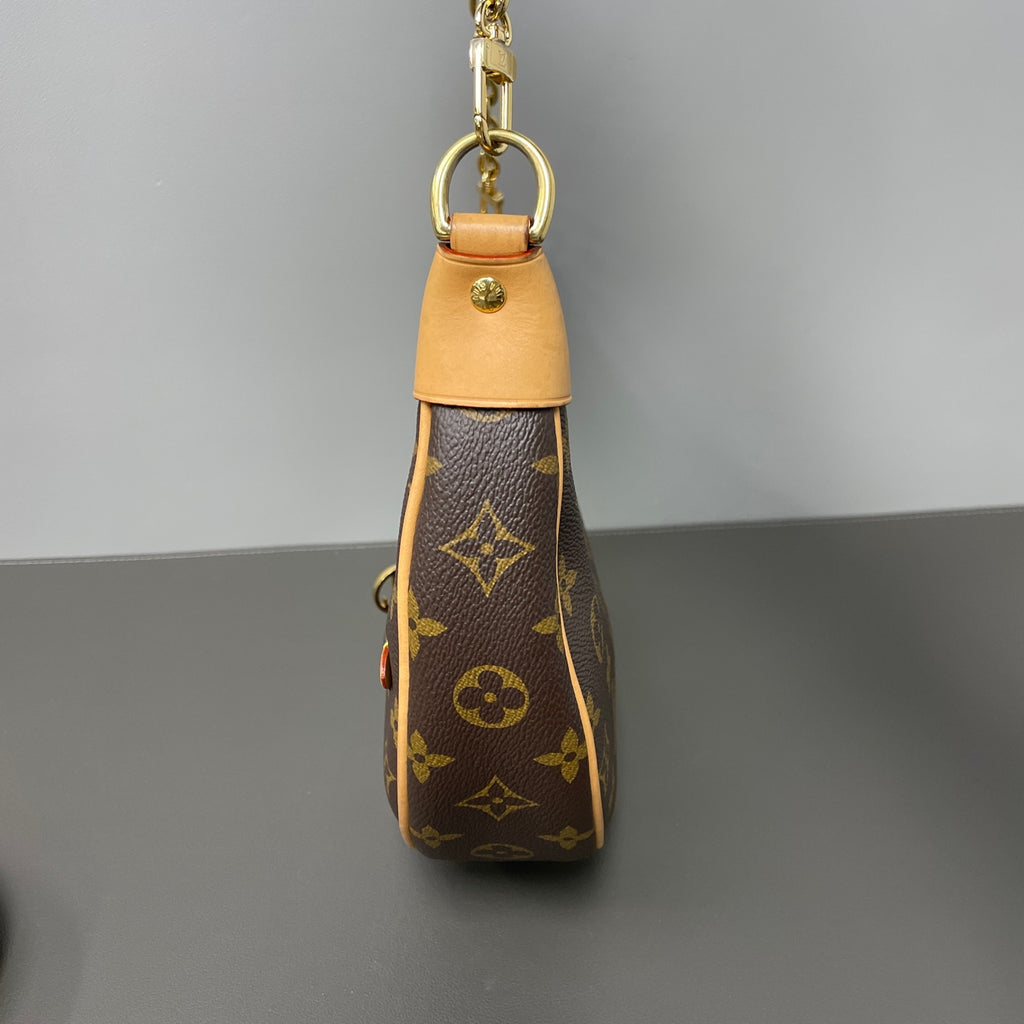 Louis Vuitton Canvas Gold