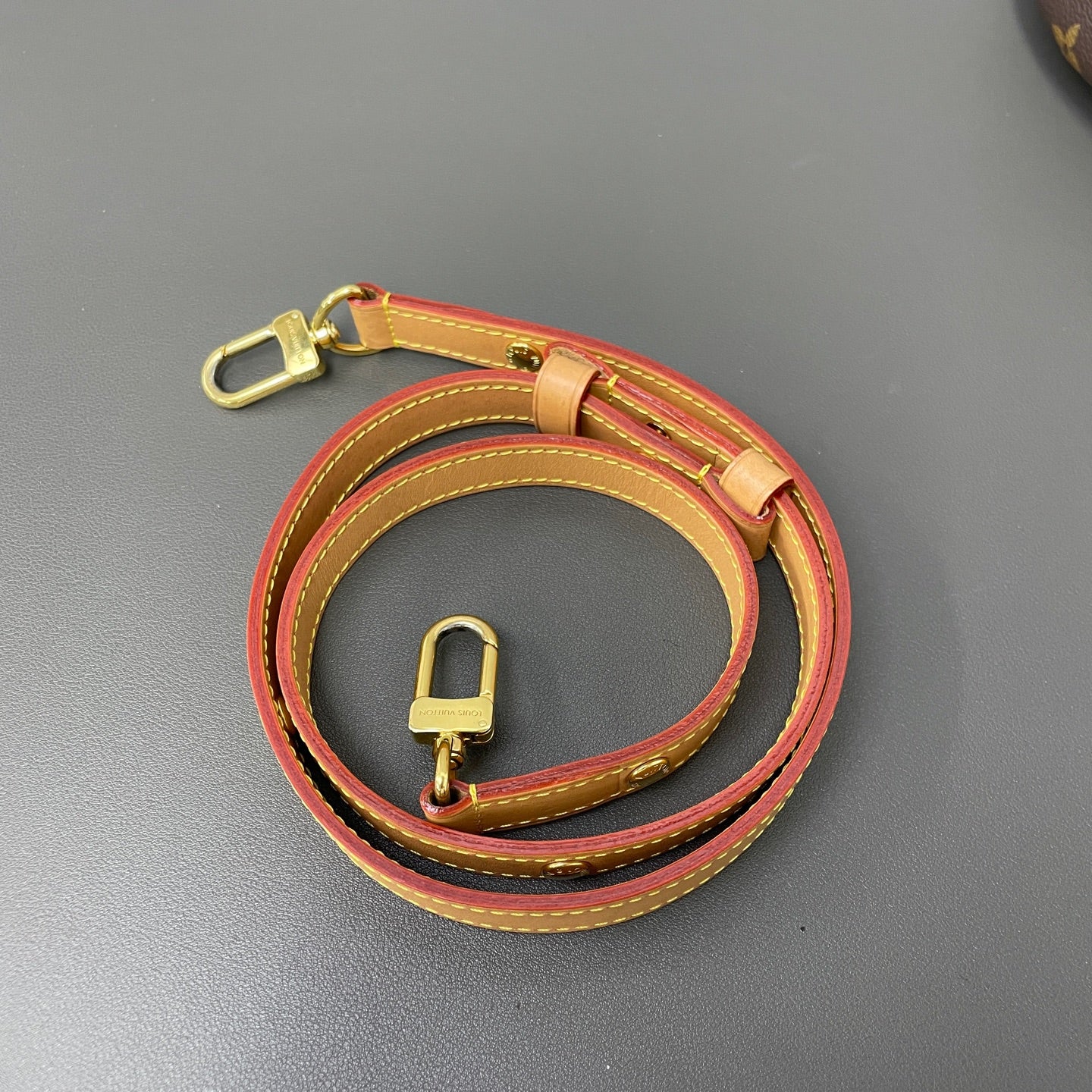 Louis Vuitton Canvas Gold