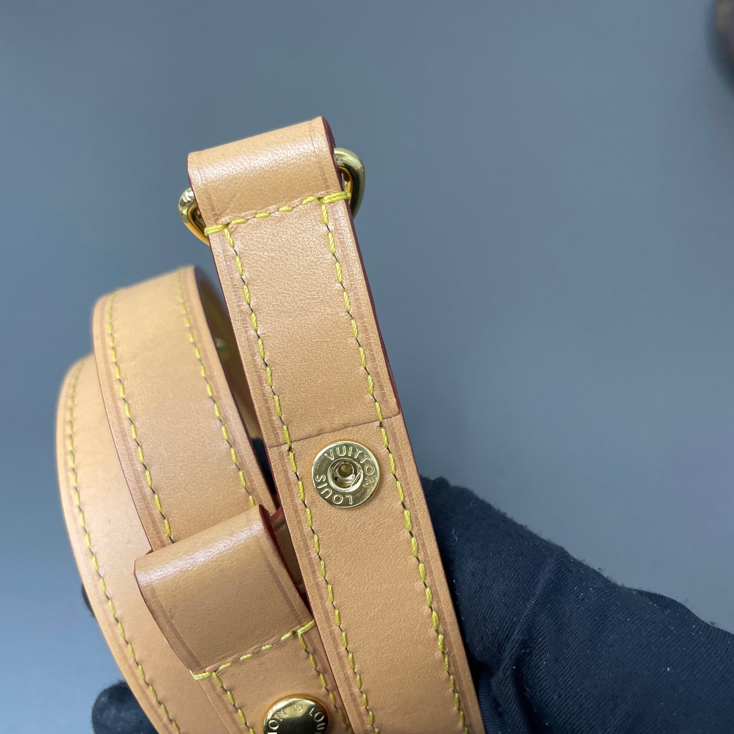 Louis Vuitton Canvas Gold