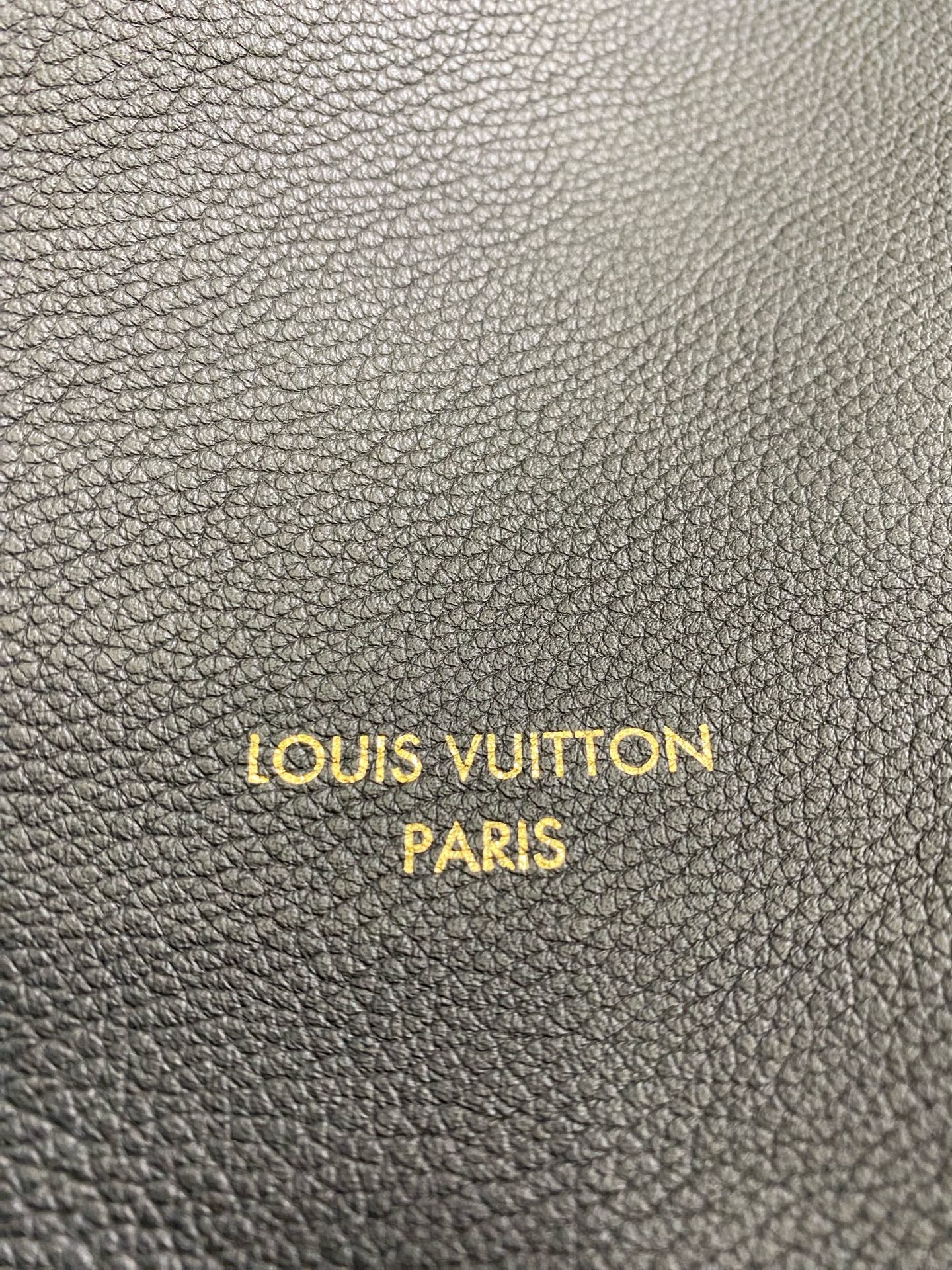 Louis Vuitton Black