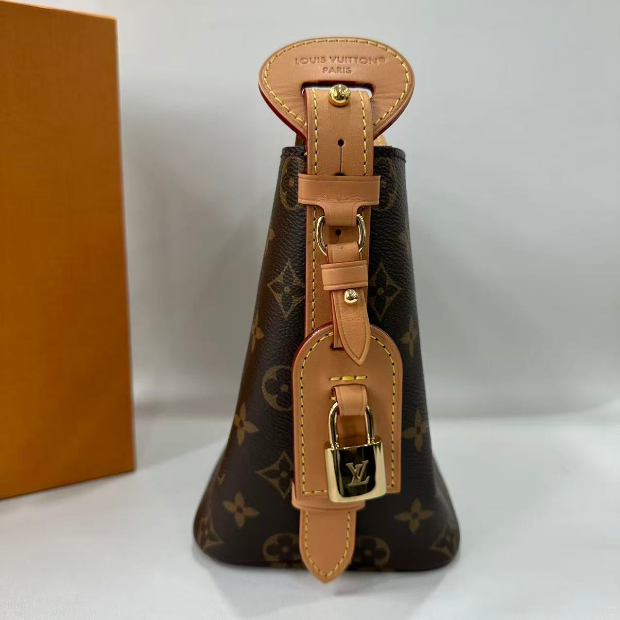 Louis Vuitton Shoulder Bag