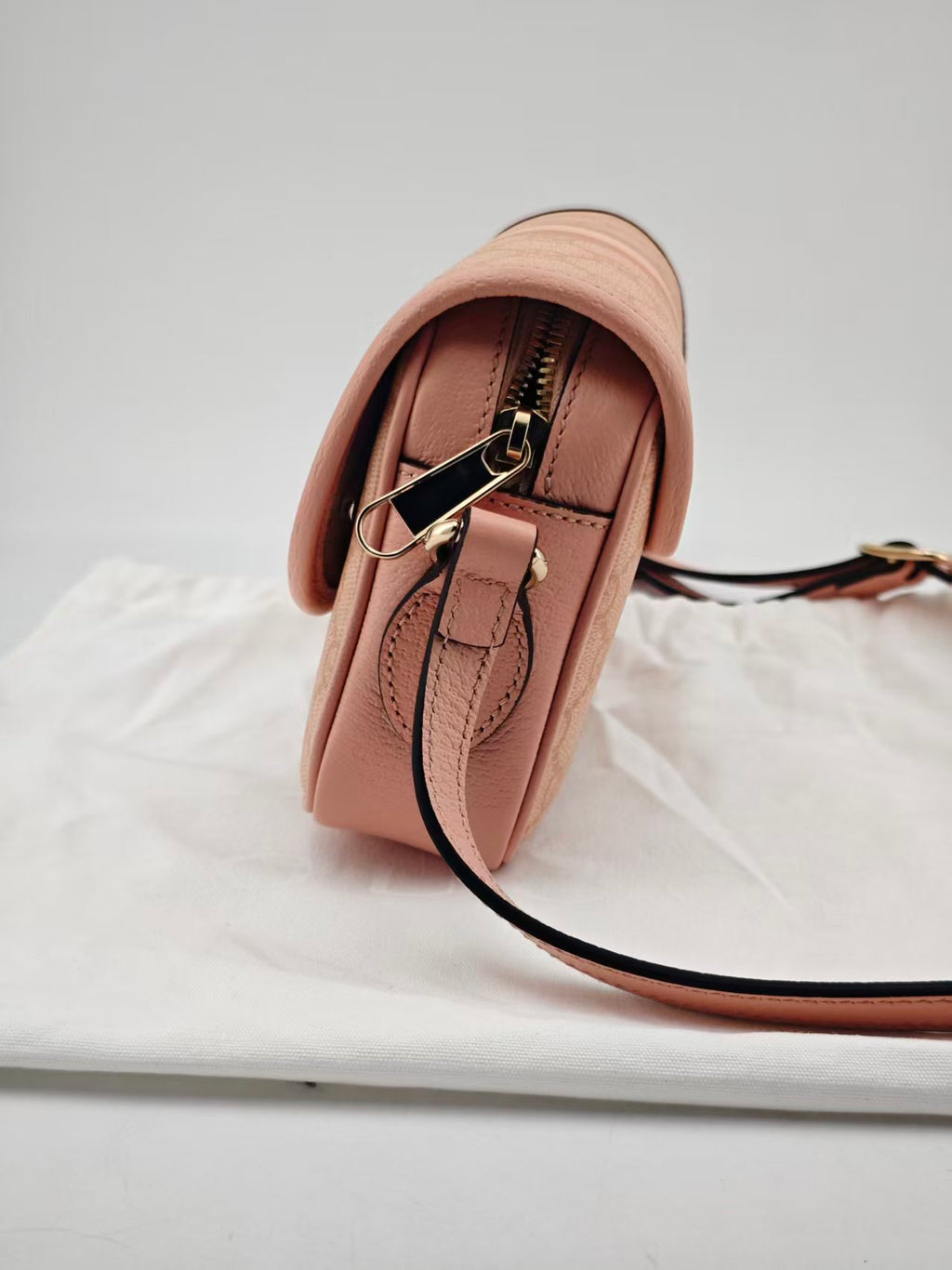 Gucci Pink Backpack