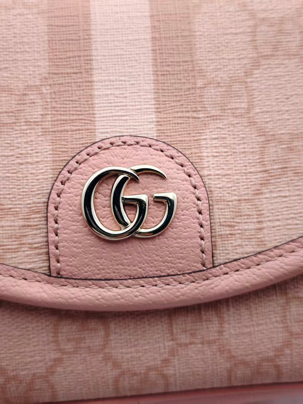 Gucci Pink Backpack