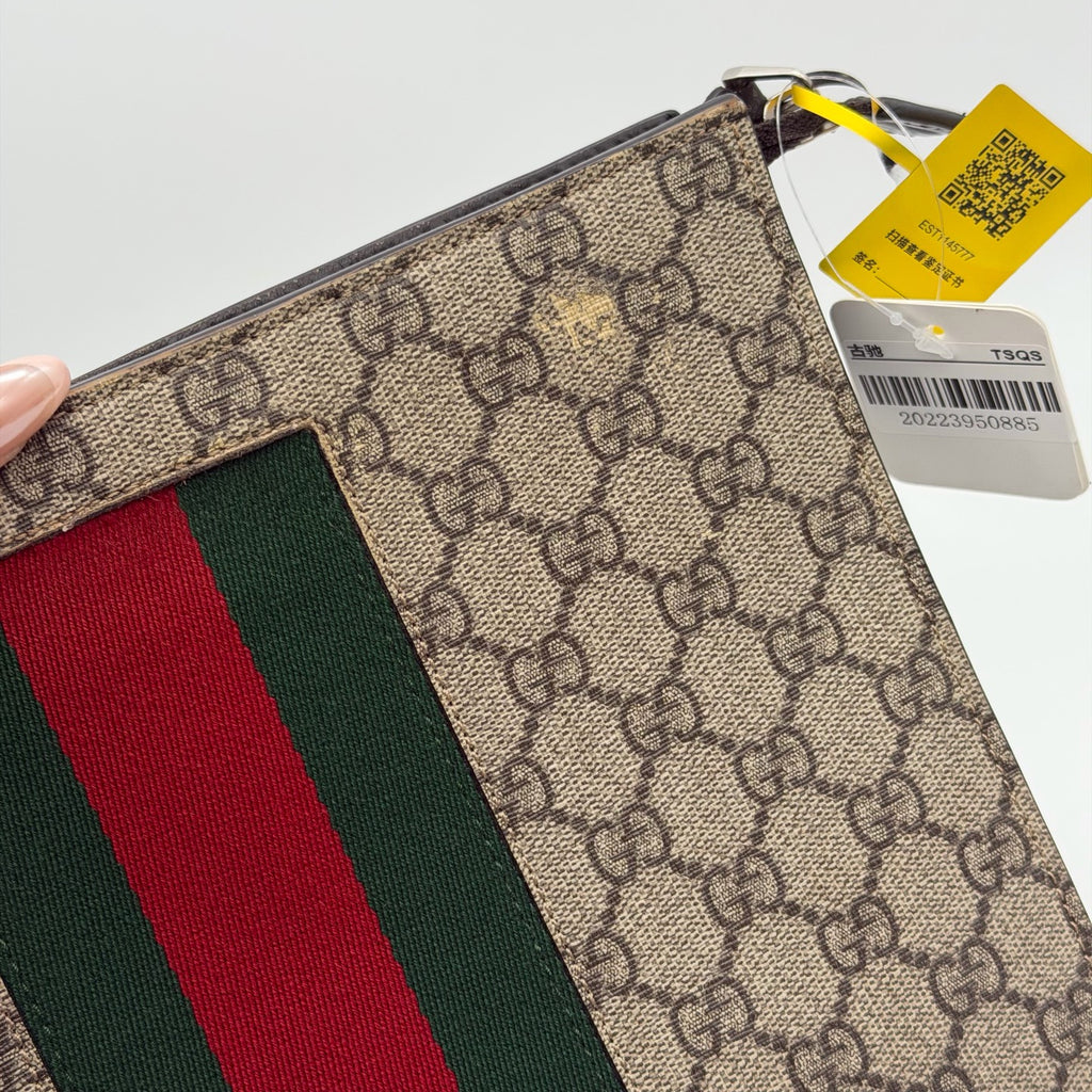 Gucci Canvas