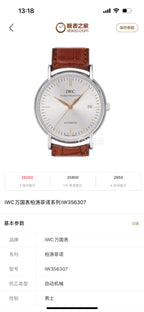 IWC Silver
