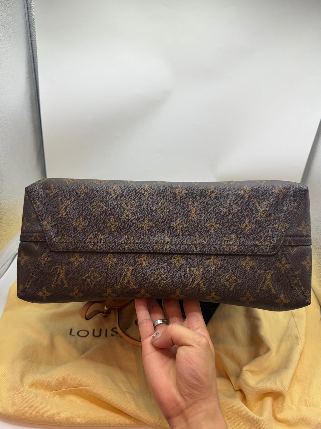 Louis Vuitton Canvas