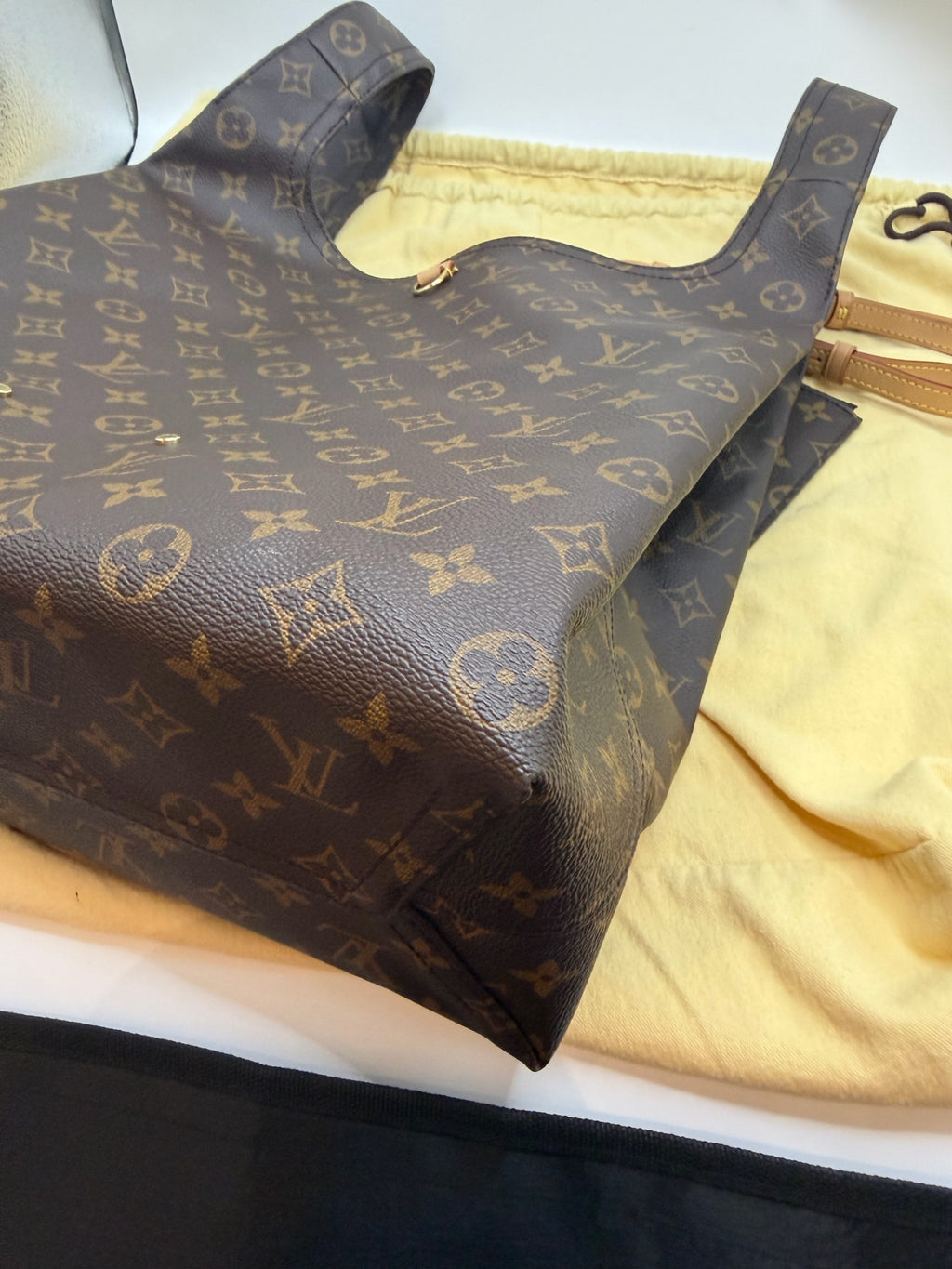 Louis Vuitton Canvas
