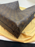 Louis Vuitton Canvas