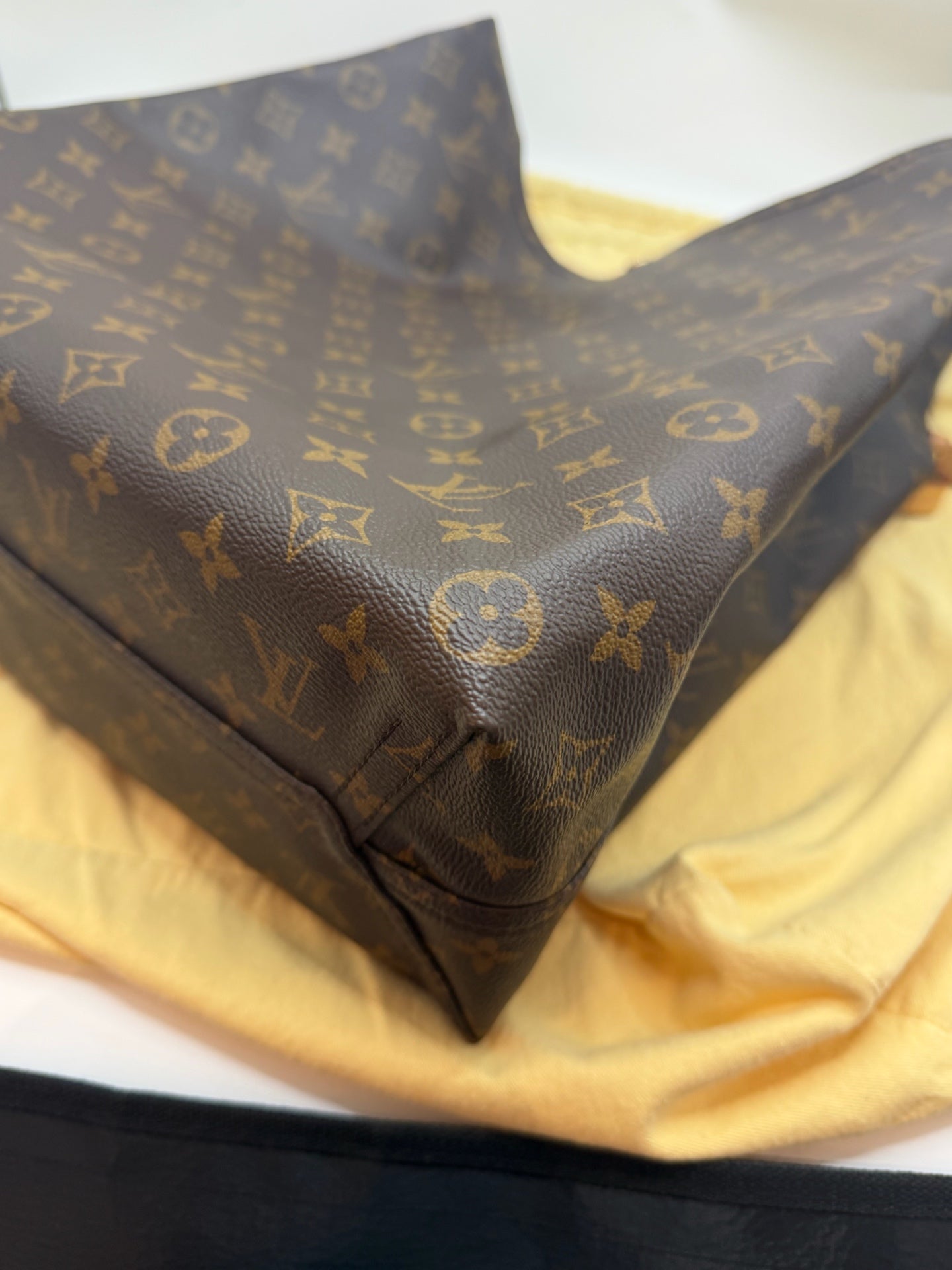 Louis Vuitton Canvas