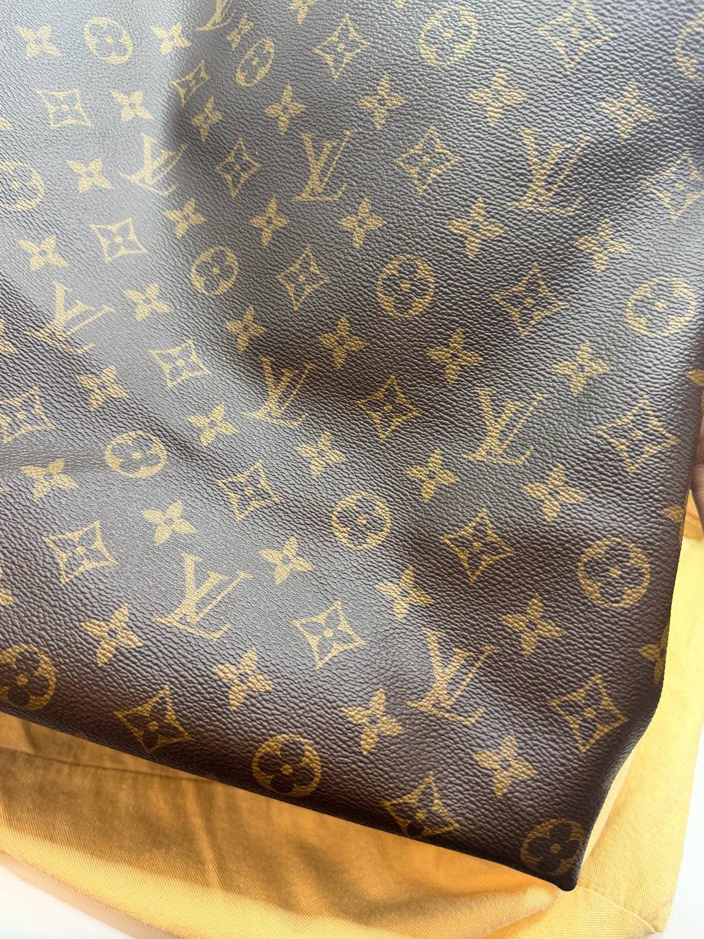 Louis Vuitton Canvas