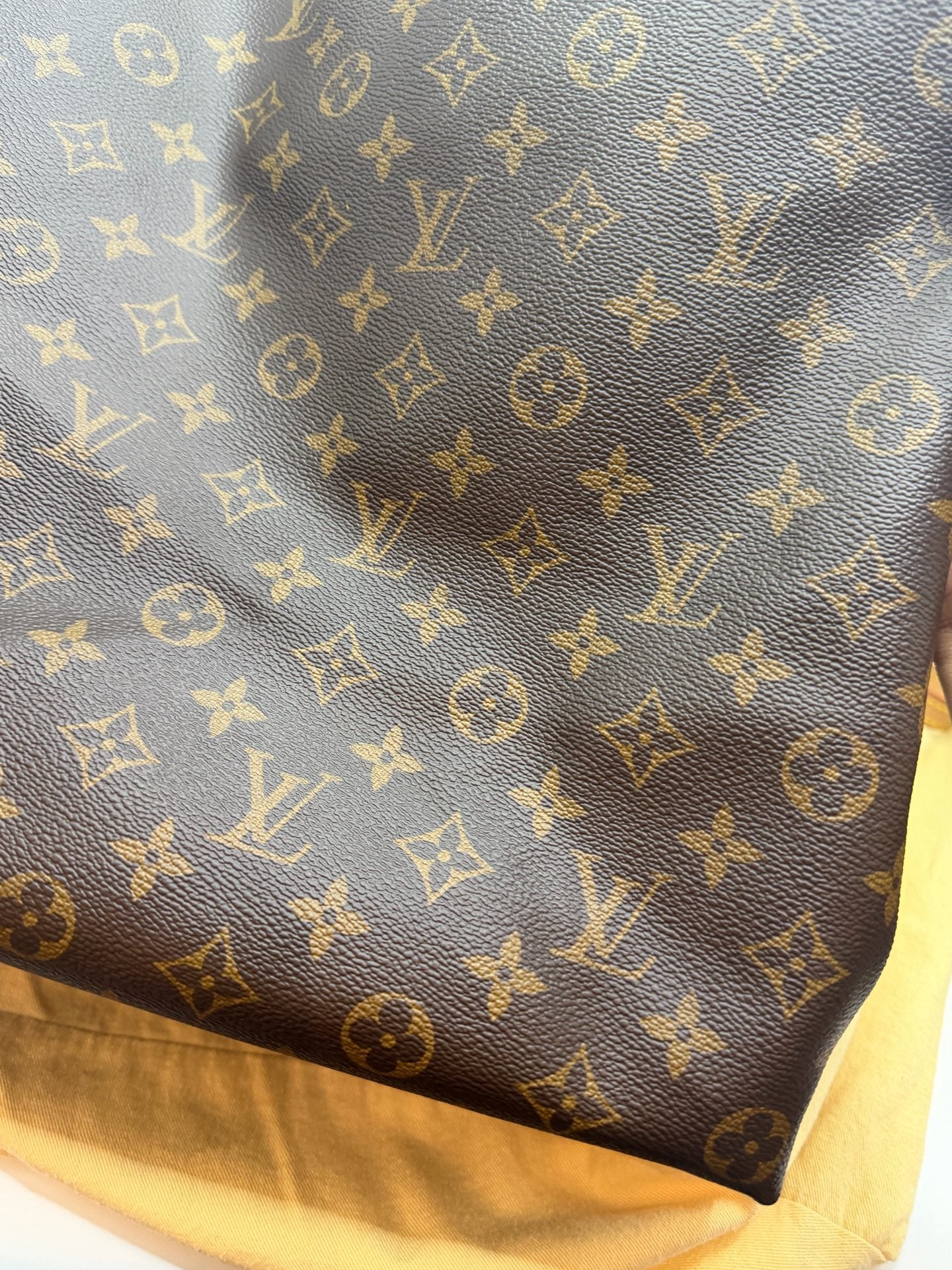 Louis Vuitton Canvas