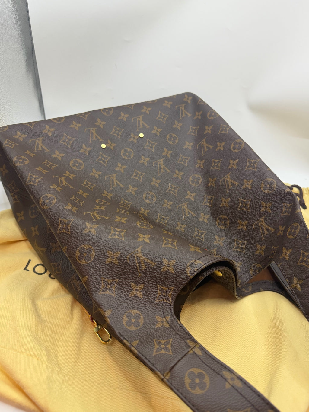 Louis Vuitton Canvas