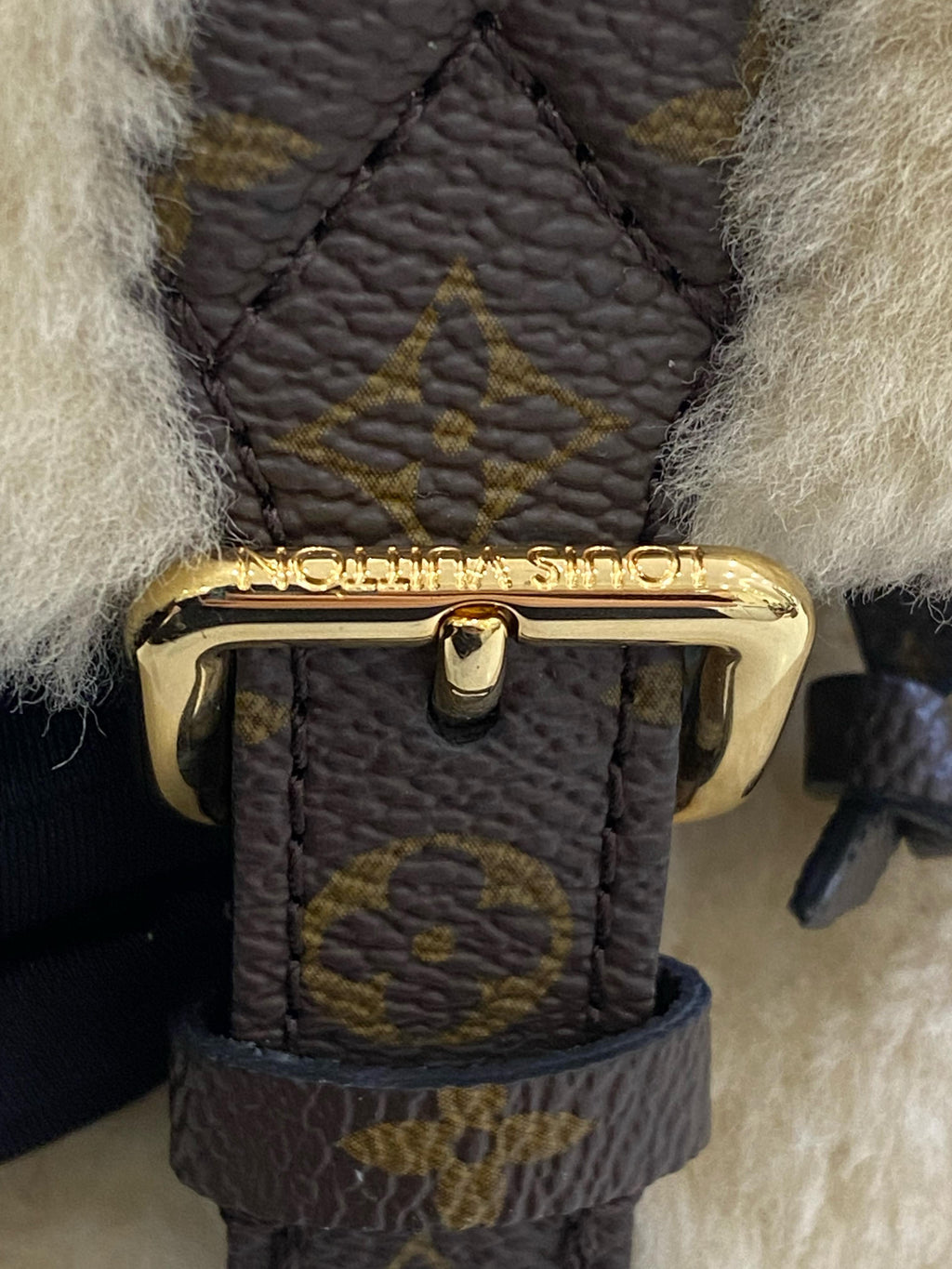 Louis Vuitton Backpack