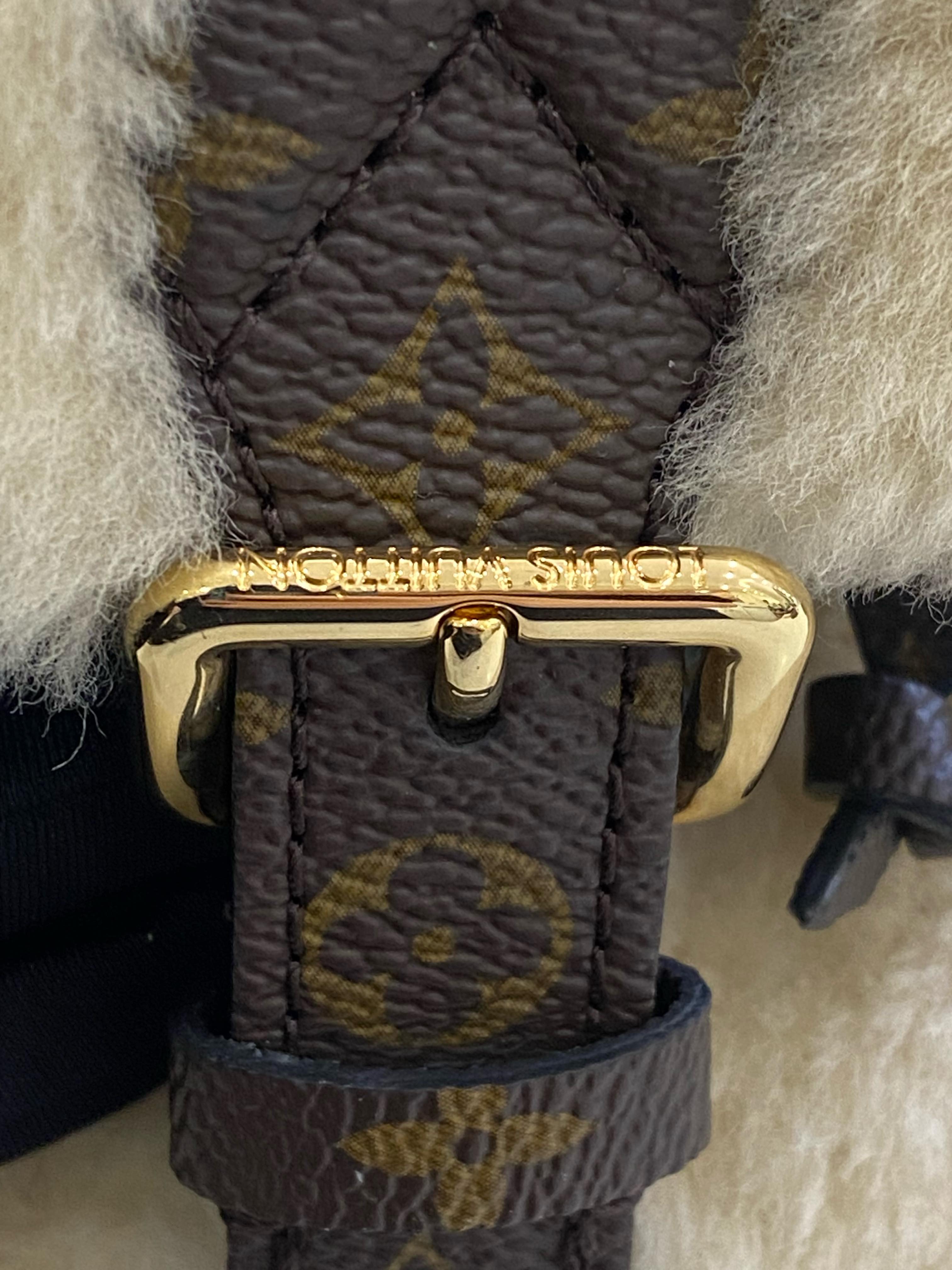 Louis Vuitton Backpack