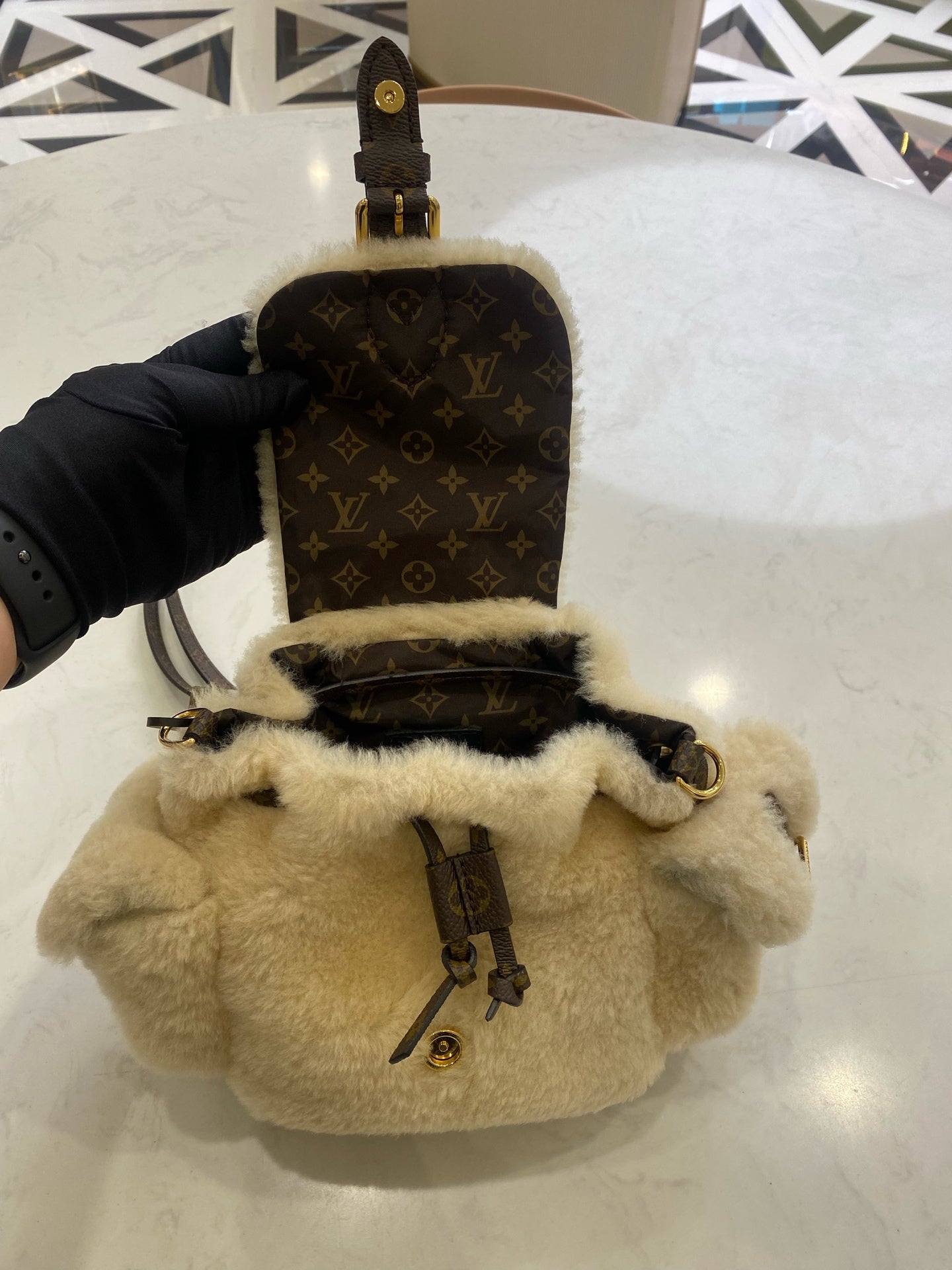 Louis Vuitton Backpack