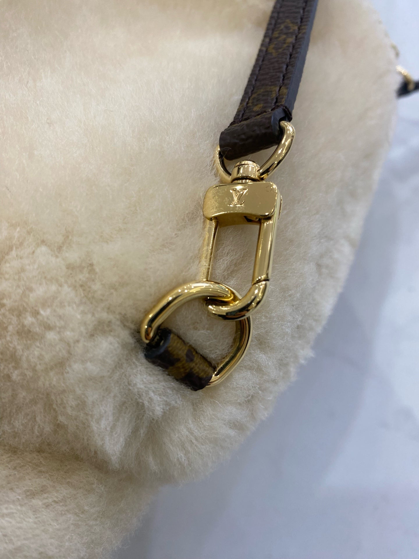 Louis Vuitton Backpack