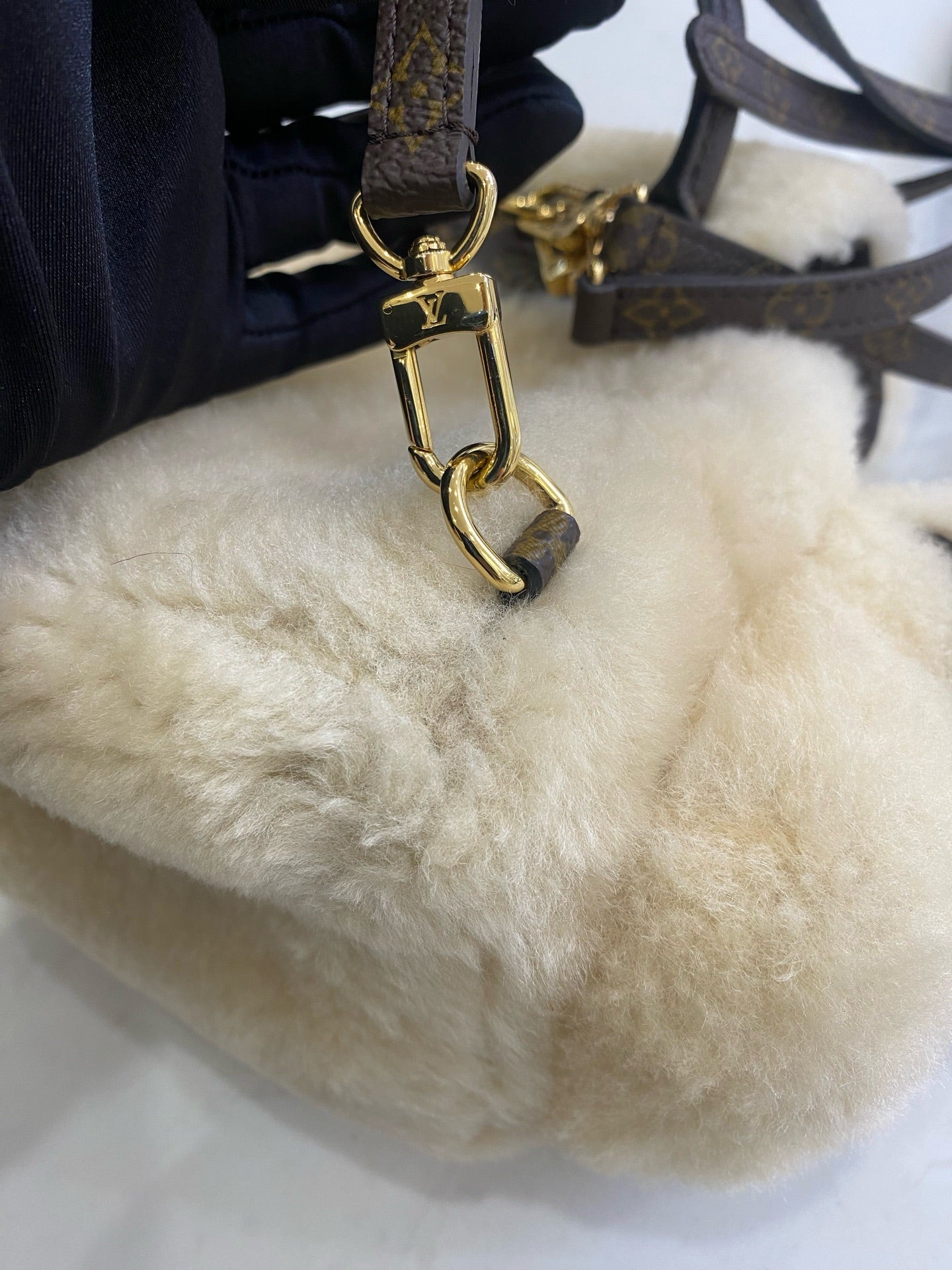 Louis Vuitton Backpack