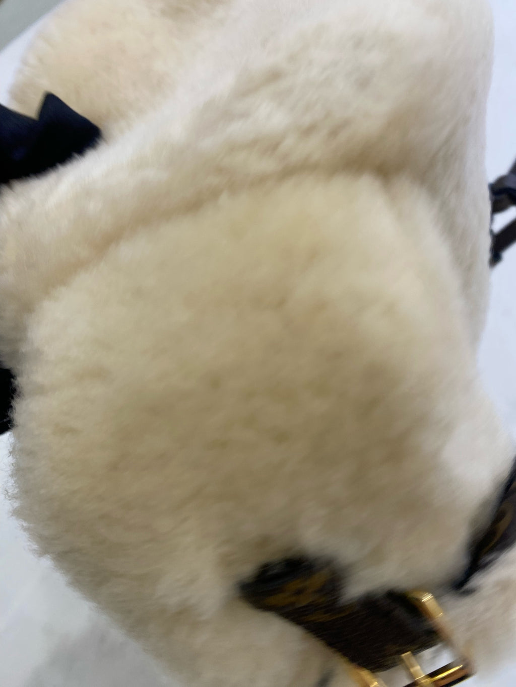 Louis Vuitton Backpack