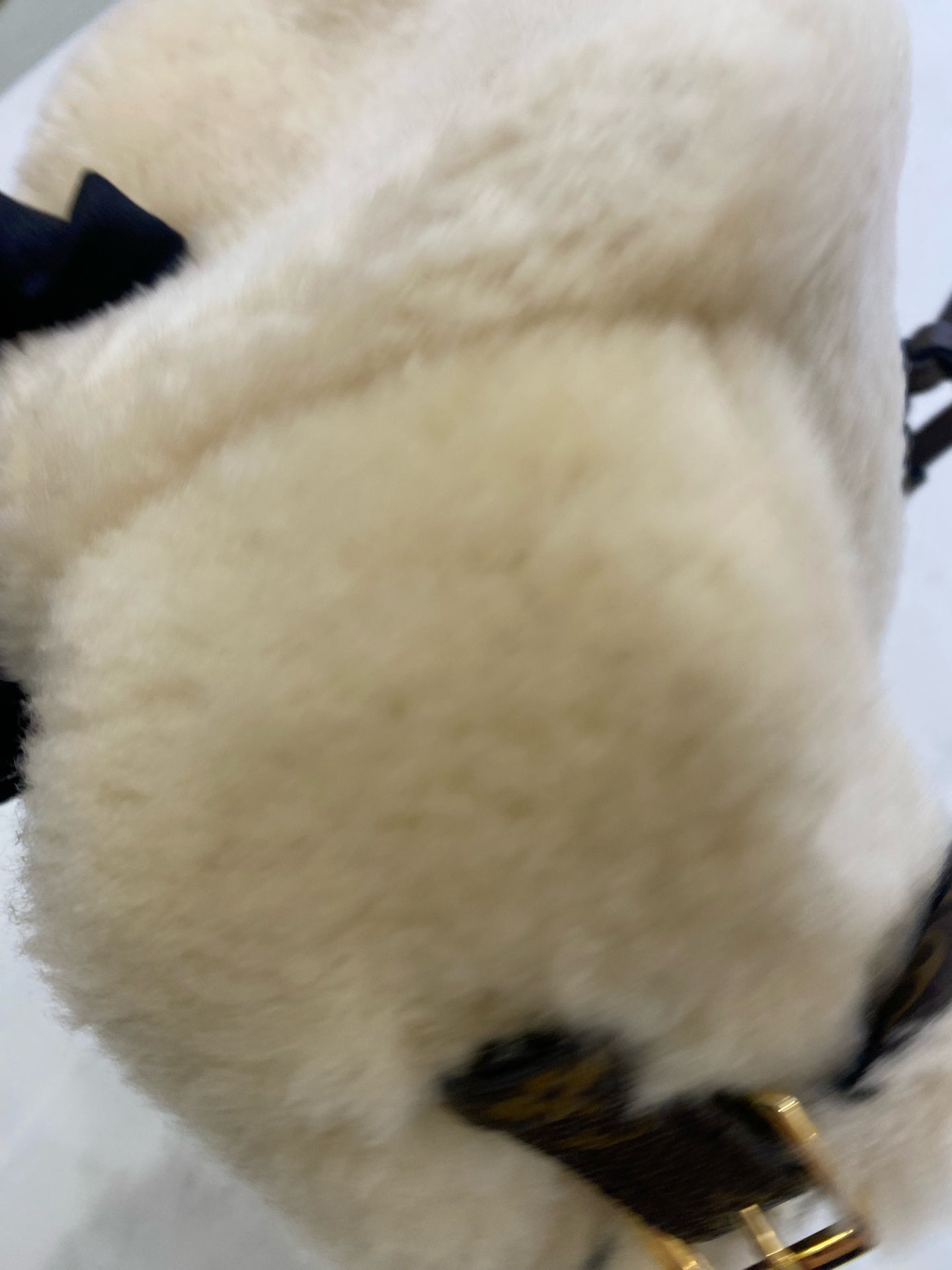 Louis Vuitton Backpack
