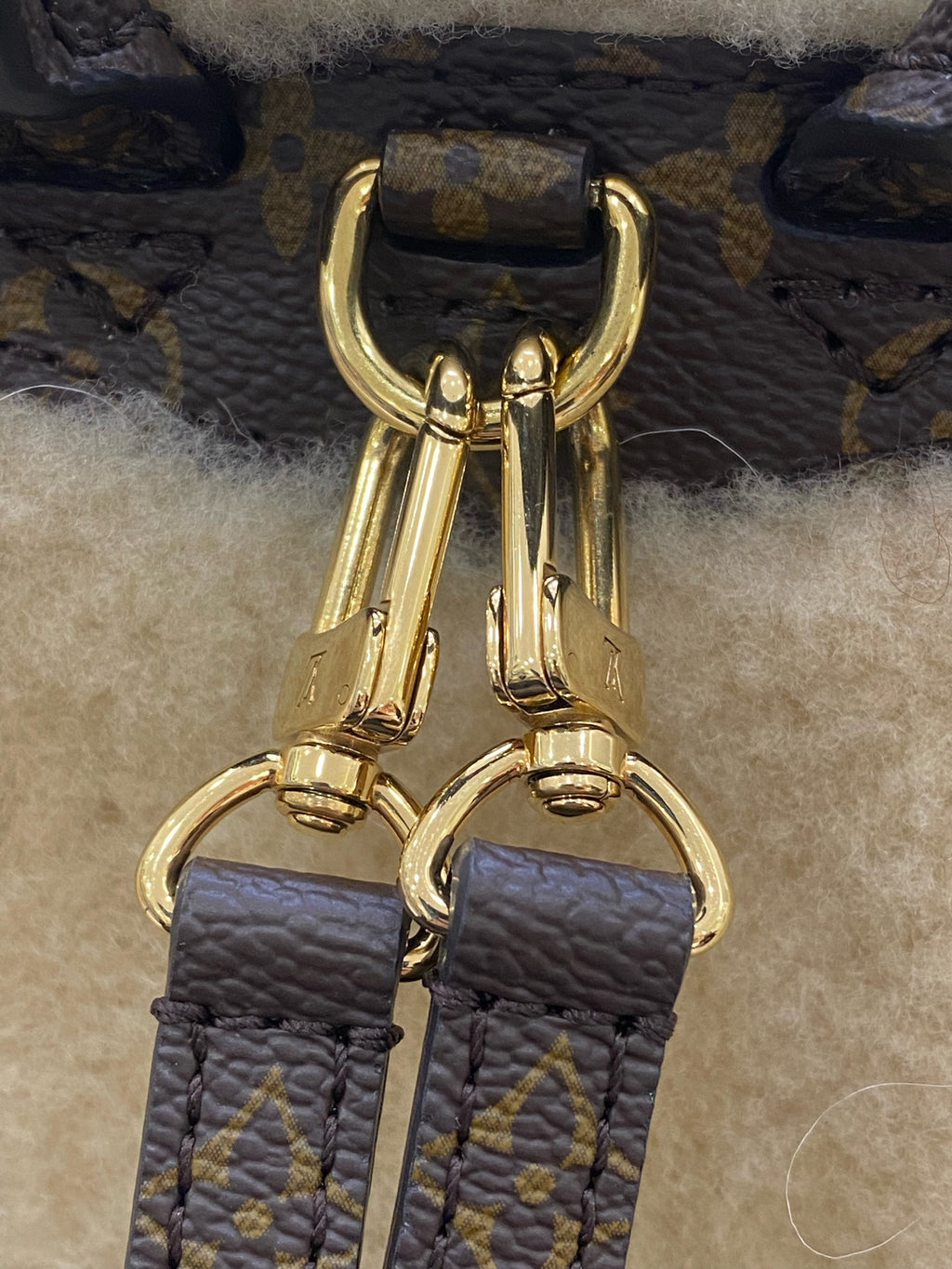 Louis Vuitton Backpack