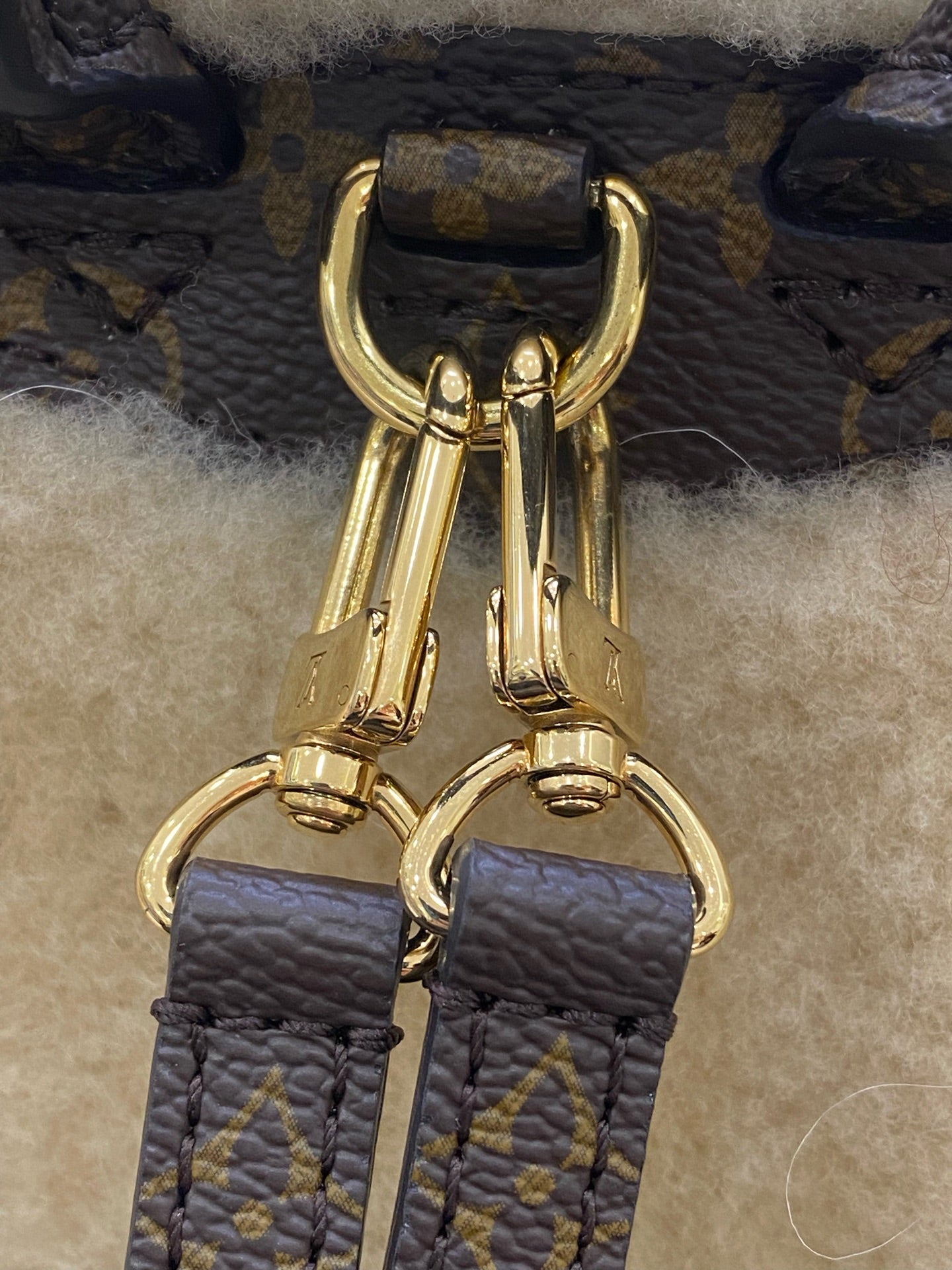 Louis Vuitton Backpack