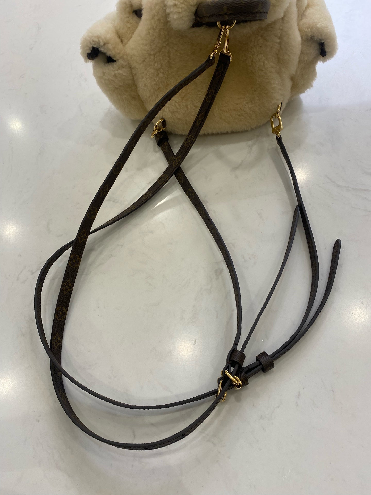 Louis Vuitton Backpack