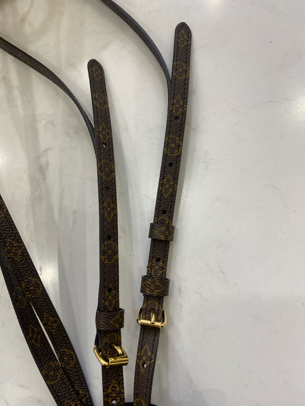 Louis Vuitton Backpack